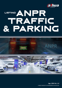 Catalistino ANPR, Traffic e Parking Dahua