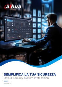 Brochure DSS Professional