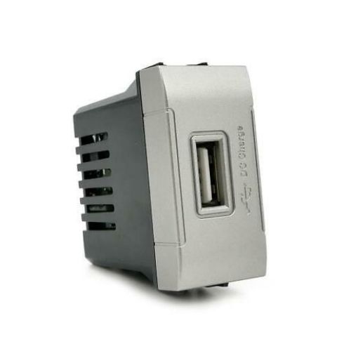 [Presa USB INT-LGT argento] 829A