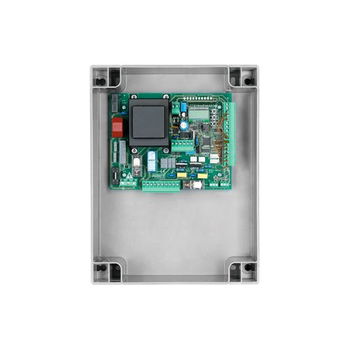[9176213] BRAINY